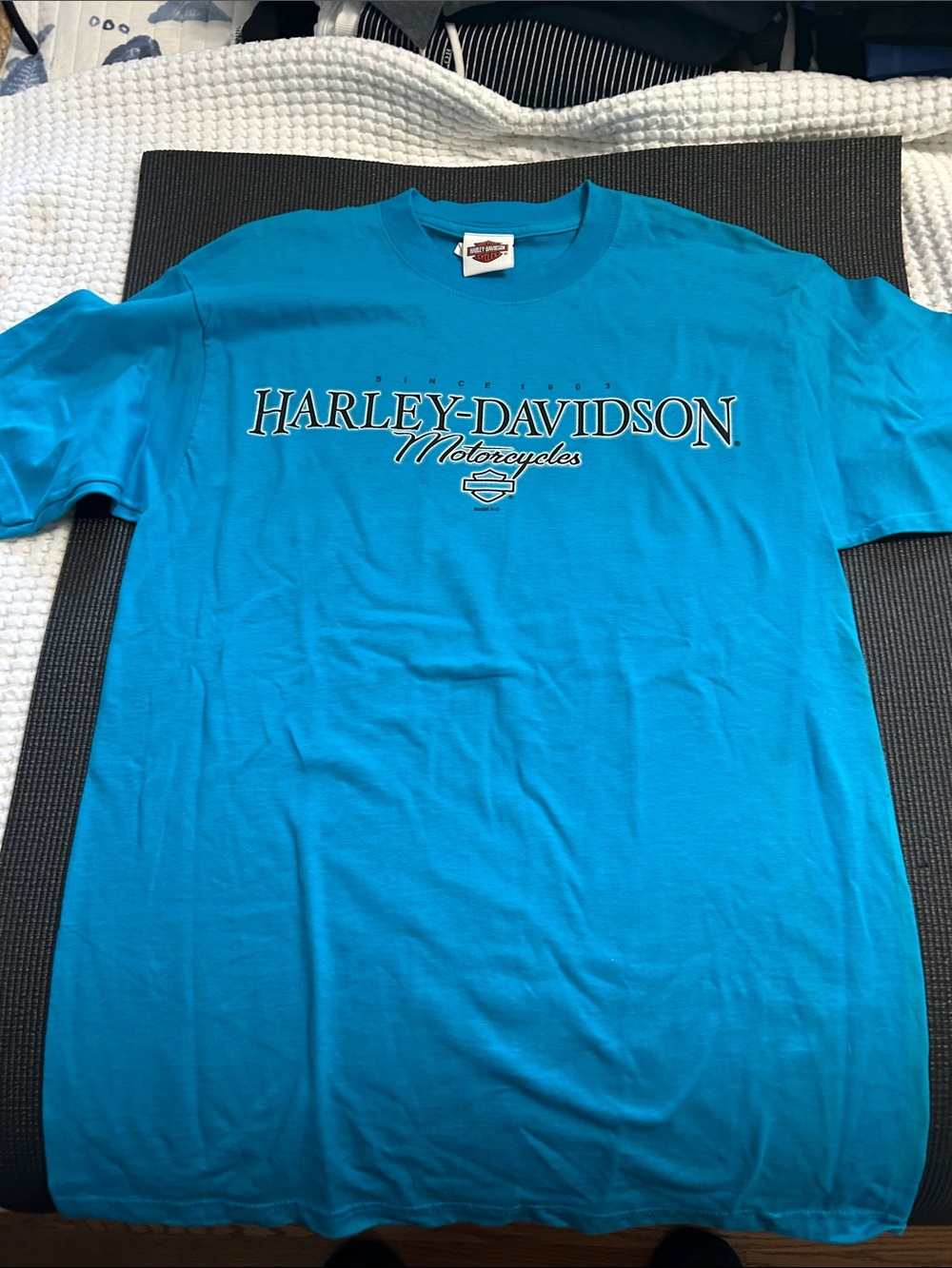 Harley-Davidson Turquoise Short Sleeve Logo Tee